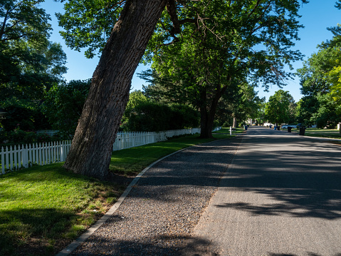 Quiet residential street with large trees.