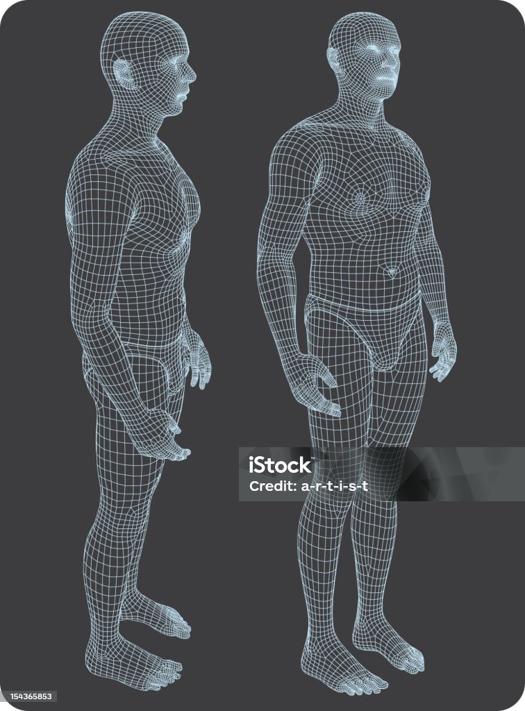 3 次元人体 - 人体のロイヤリティフリーベクトルアート