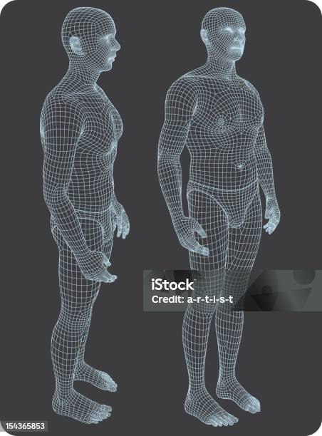 3 次元人体 - 人体のベクターアート素材や画像を多数ご用意 - 人体, 3D, ます目