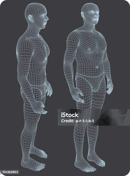 Vetores de Tridimensional Corpo Humano e mais imagens de Corpo humano - Corpo humano, Tridimensional, Grade - Padrão