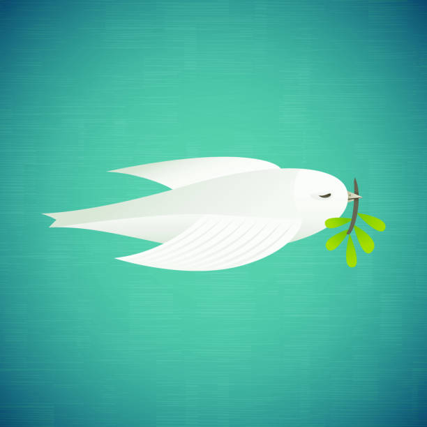 peace dove - friedenstaube stock-grafiken, -clipart, -cartoons und -symbole