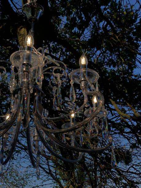 istock Chandelier in the forest 1543712146