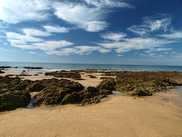 Algarve coast at low tide the ocean