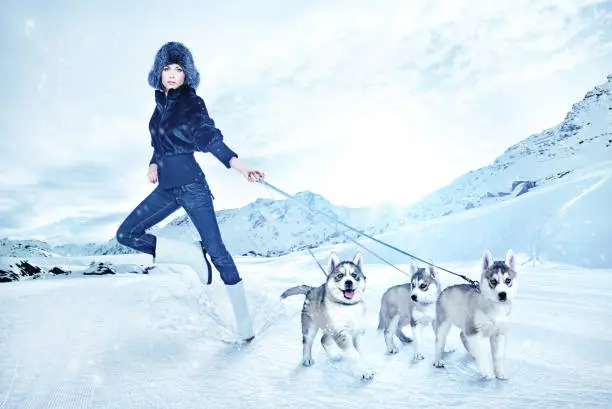 Photo of woman holding three young huskies against mountain background