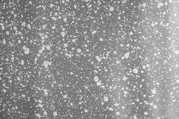 Background and texture of gray granite with white spots