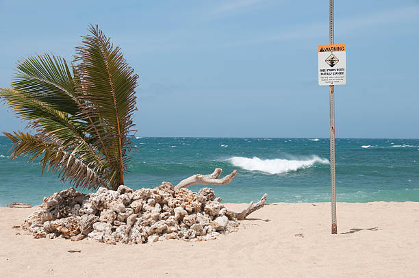 istock Warning sign and coral on beach in Maui 154378027