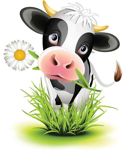 Holstein cow in grass vector art illustration