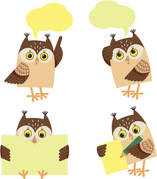 Set with owls vector art illustration