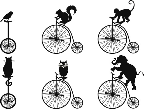 vintage bicycle and unicycle with animals, vector set