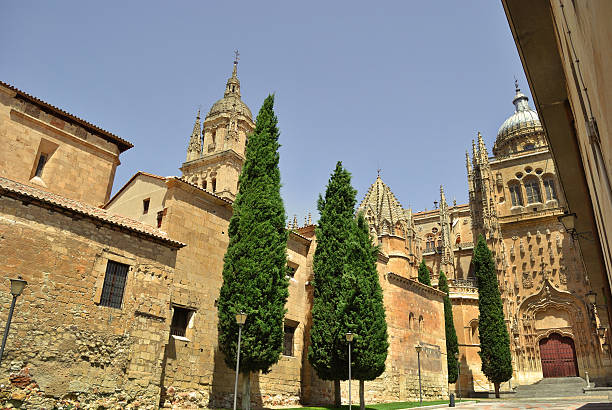 istock Cathedral of Salamanca 154380808