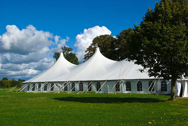 Gran carpa de blanco - foto de stock