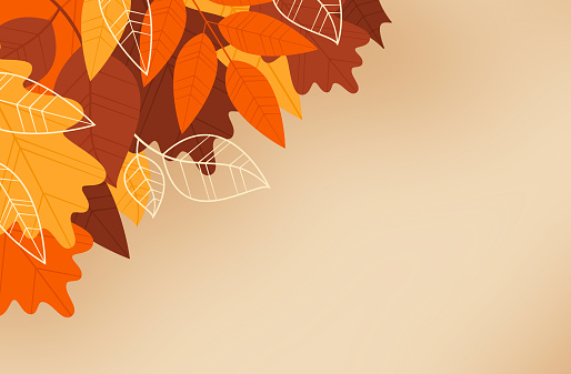 Autumn fall leaf edge abstract background.