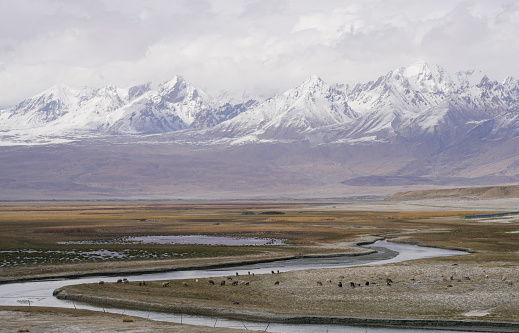 Grassland snow mountain, sheep, river in Pamir Plateau, Xinjiang, China