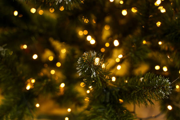 istock Artificial spruce branch with lights with bokeh effect. Beautiful Christmas tree against blurred lights, closeup with space for text. 1543860949