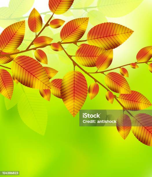 벡터 추절 배경기술 0명에 대한 스톡 벡터 아트 및 기타 이미지 - 0명, 가을, 나뭇가지
