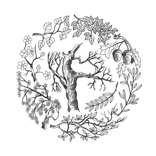 Vector illustration of Tree, Branches and Foliage Doodles Set, Circle Composition