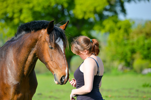 Pretty young woman and her beautiful bay horse share an emotional moment in English countryside on a sunny summers day.
