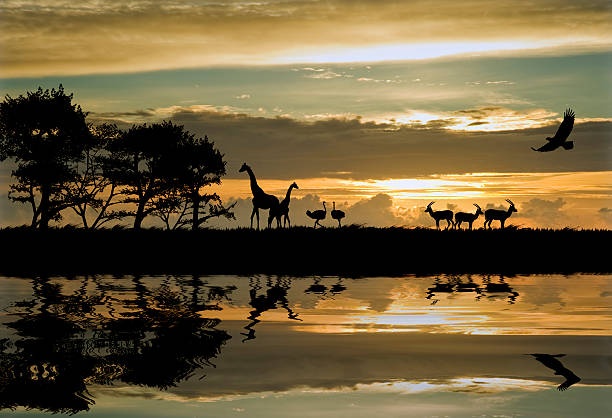 Beautiful African themed silhouette