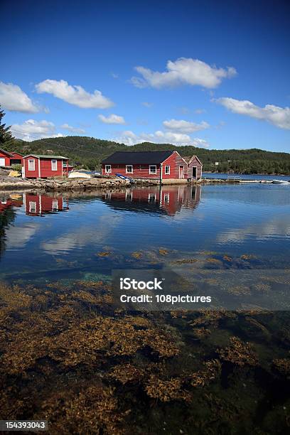 Beautifull Норвегия Бухта С Лодки Подводное Листва — стоковые фотографии и другие картинки Фиорд