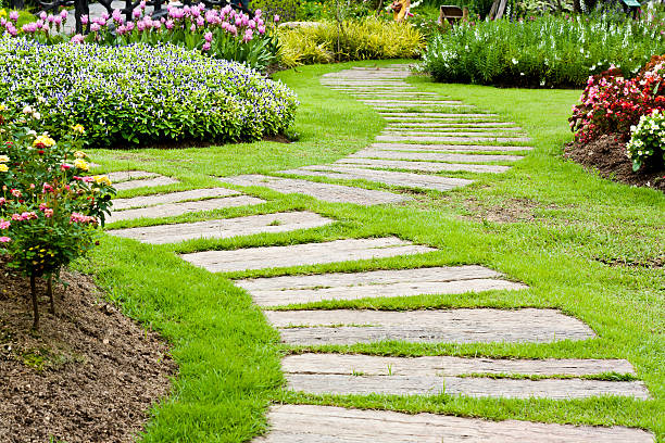istock Landscaping in the garden 154393667