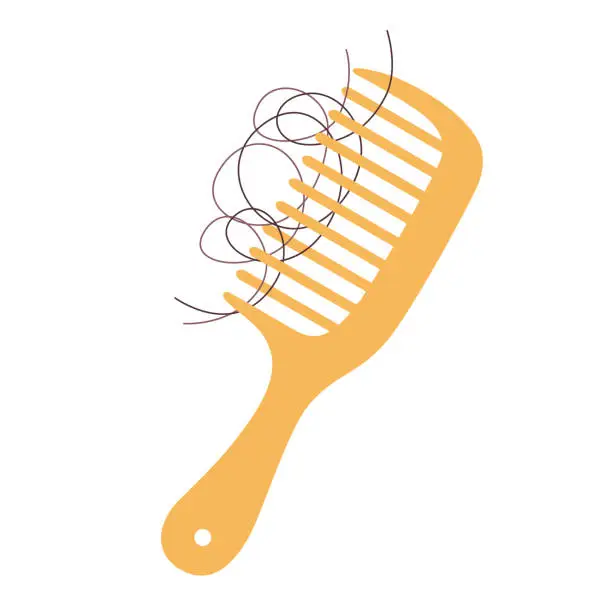 Vector illustration of Comb, hair loss.