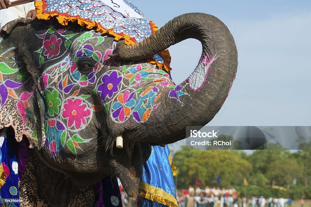 Beautifully painted Indian Elephant Elephants are painted in Jaipur in preparation for the celebration of Holi Jaipur Stock Photo