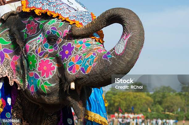 Beautifully Painted Indian Elephant Stock Photo - Download Image Now - Jaipur, Culture of India, Elephant