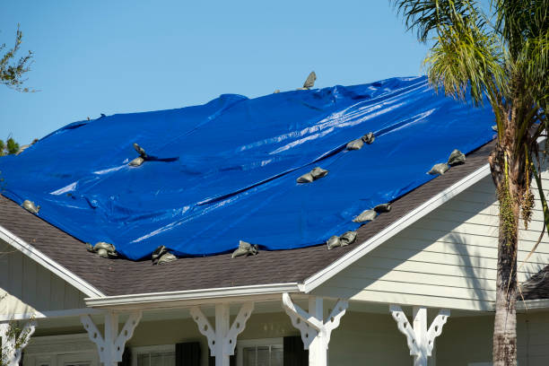 허리케인 이안 (ian)의 집 지붕은 아스팔트 슁글 교체 될 때까지 빗물이 새는 것에 대비하여 파란색 보호 방수포로 덮여 있습니다. - tarpaulin 뉴스 사진 이미지