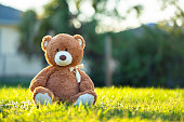 Concept of childhood. Big plush teddy bear sitting alone on green grass lawn in summer