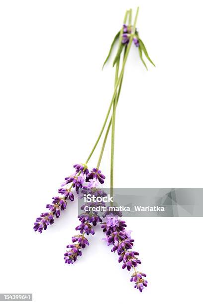 Lavanda Foto de stock y más banco de imágenes de Asistencia sanitaria y medicina - Asistencia sanitaria y medicina, Belleza, Buqué