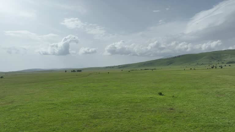 Aerial shot of meadows covered with soft mist on a cloudy day in the countryside.