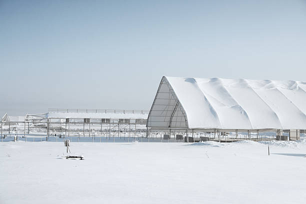istock Unfinished structure with a shed in winter 154401854