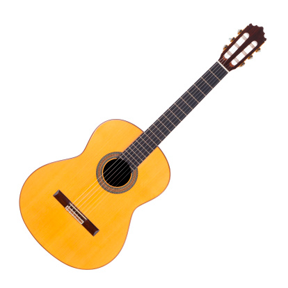 new electronic guitars in the musical instrument store