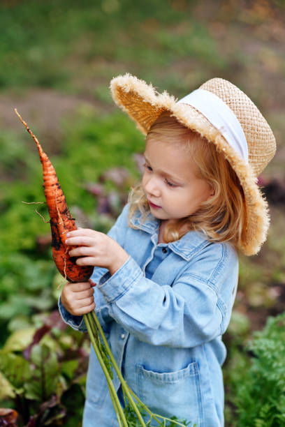 istock A child in straws hat holds a carrot vegetables in his hands. 1544038604
