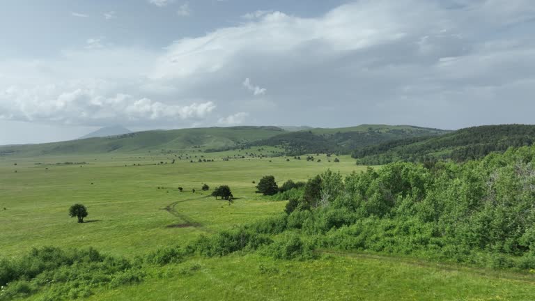 Aerial shot of meadows covered with soft mist on a cloudy day in the countryside.