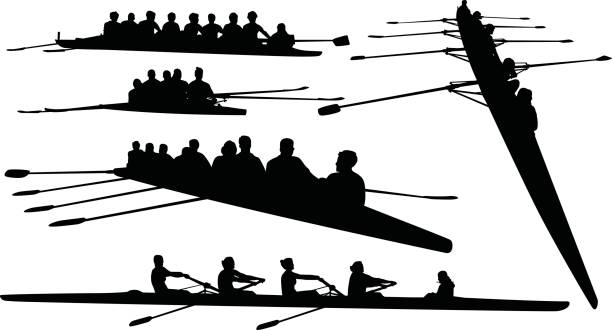 stockillustraties, clipart, cartoons en iconen met rowing silhouettes - roeisport