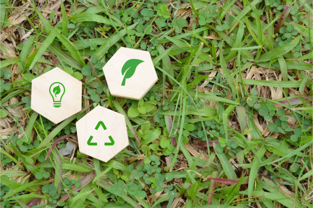 istock Recycle Symbol: Many people engage in activities, enjoying a good atmosphere while saving the planet and energy. 1544115413