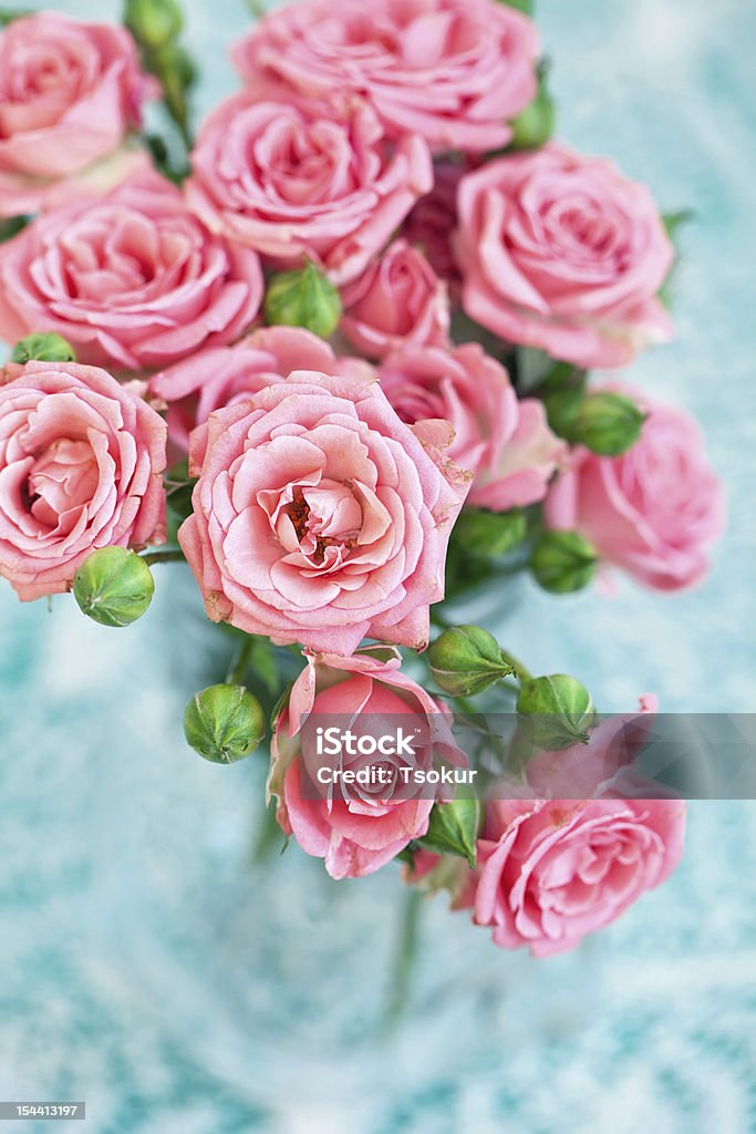 pink roses fresh pink roses on a table. Arrangement Stock Photo