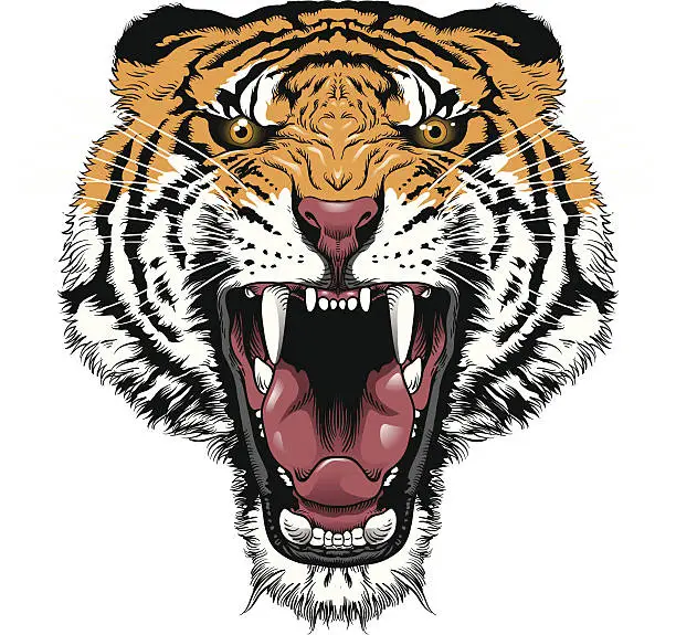 Vector illustration of Tiger roar