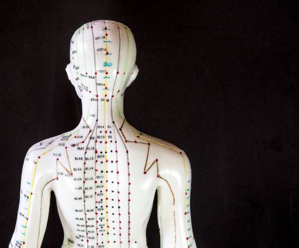 dummy com meridianos de acupuntura brilhantes exibidos contra um fundo escuro - chi energy - fotografias e filmes do acervo