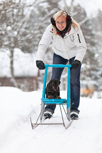 Scandinavian blonde woman riding kicksled with small dog in snowfall stock photo