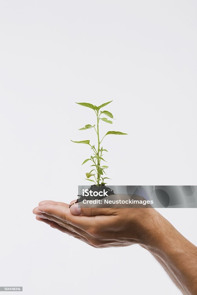 Jovem segurando vegetal - Foto de stock de Branco royalty-free