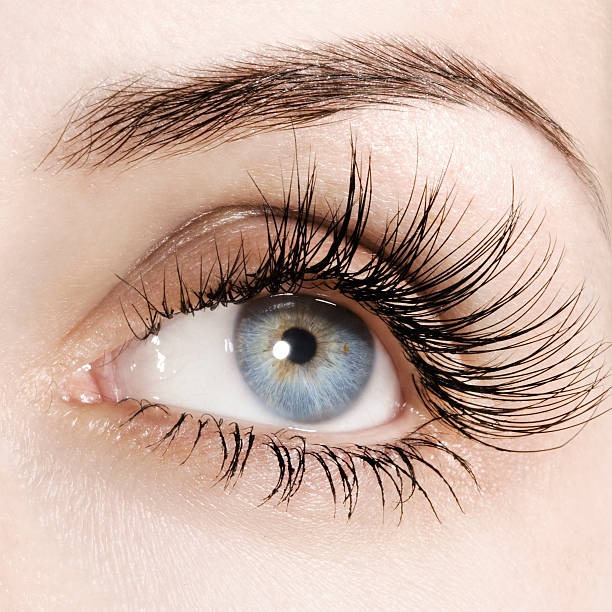 istock Close-up of a woman's blue eye with long eyelashes 154419407