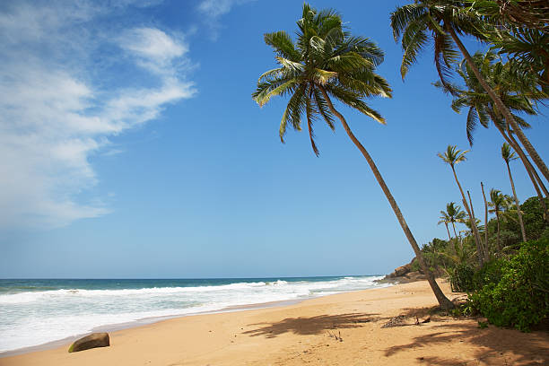 istock island of Sri Lanka 154420222
