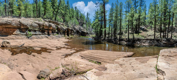 Fry Canyon is a narrow canyon on the Mogollon Rim of Northern Arizona.  It features Pumphouse Wash, a slow moving creek that is one of the uppermost reaches of Oak Creek which eventually feeds into the Verde River.  The canyon is lined with sculpted rock formation where the water gathers in pools.  Fry Canyon is in the Coconino National Forest near Flagstaff, Arizona, USA.