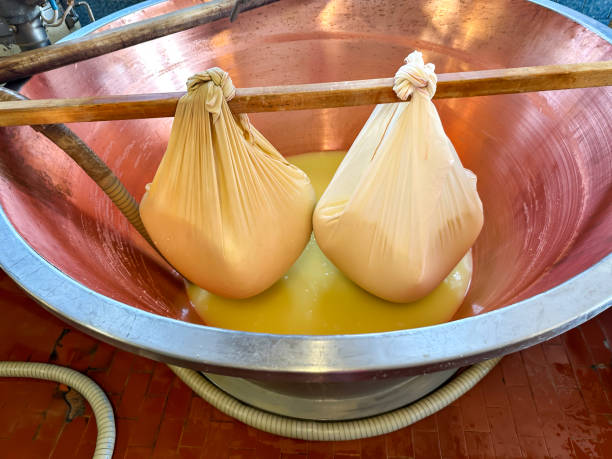 First step in the process of making Parmesan-Reggiano cheese - fotografia de stock