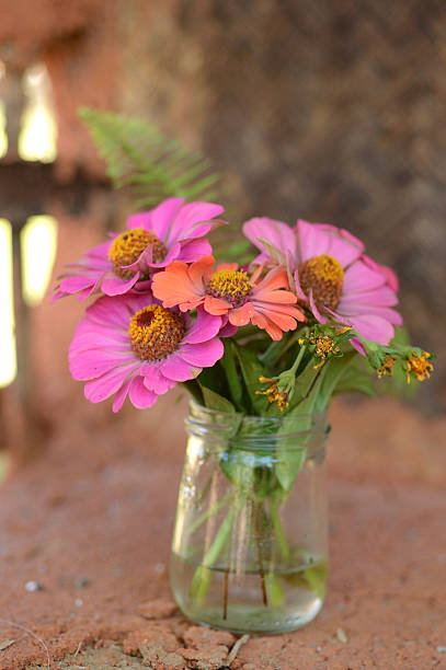 Fleurs dans un vase - Photo