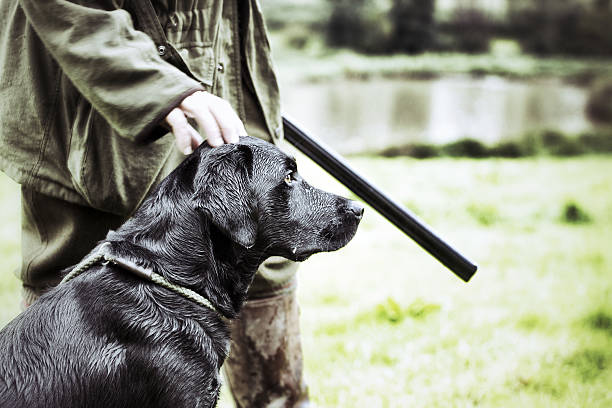 garde-chasse avec son chien - employé de domaine photos et images de collection