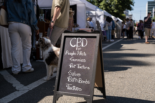 Seattle, USA - Jun 3, 2023: Late in the day people and dogs at the South Lake Union saturday market by a CBD stand.