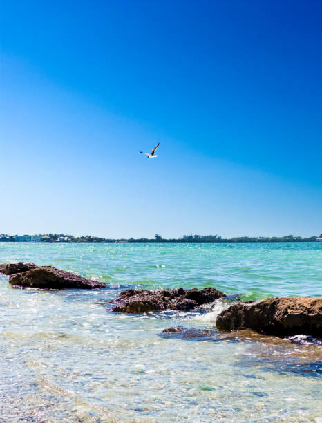 Tropical seascape with transparent clean water in Sarasota, Florida